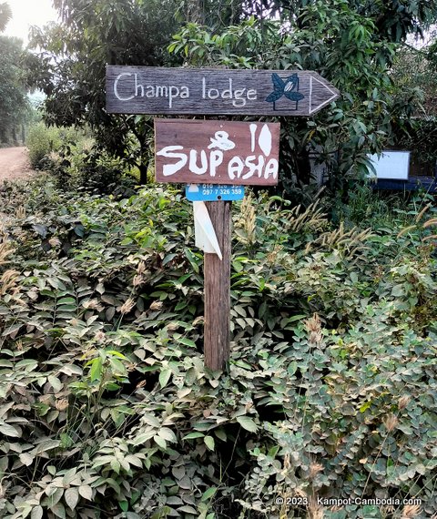 sup asia stand-up paddle board in kampot, cambodia