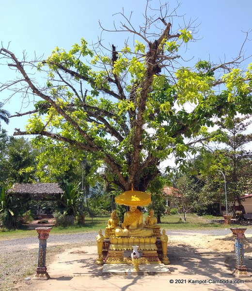 Toek Vil Pagoda. Wat Dtuk Veul in Kampot, cambodia