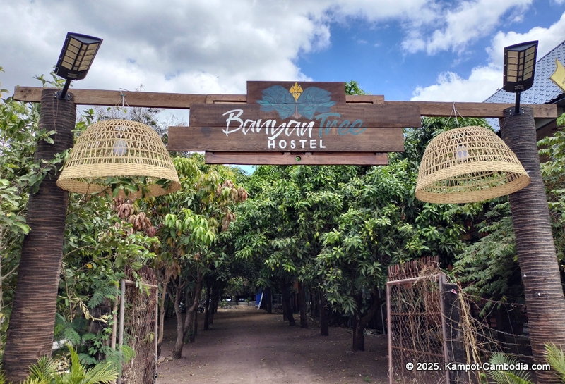 banyan tree hostel in Kampot, Cambodia