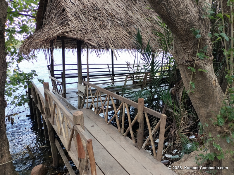 banyan tree hostel in Kampot, Cambodia