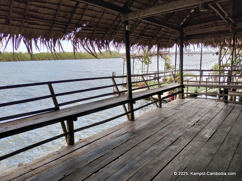 banyan tree hostel in Kampot, Cambodia