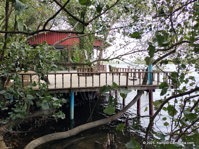 banyan tree hostel in Kampot, Cambodia