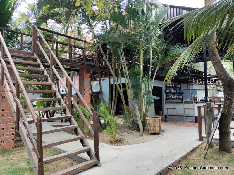 banyan tree hostel in Kampot, Cambodia