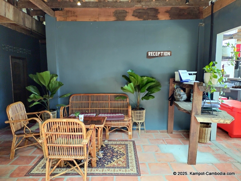 banyan tree hostel in Kampot, Cambodia