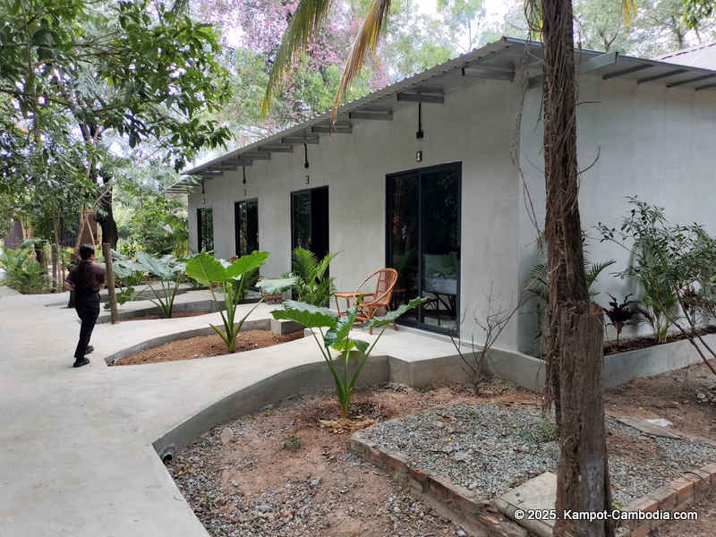 Kampot River Nest on the Kampot River in Kampot, Cambodia