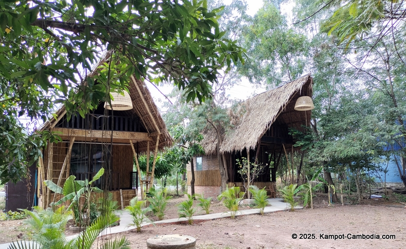 banyan tree hostel in Kampot, Cambodia