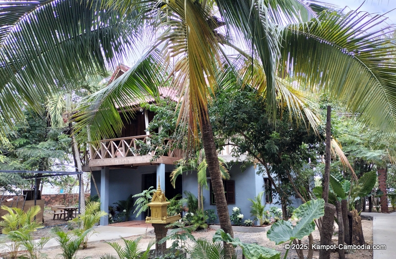 banyan tree hostel in Kampot, Cambodia