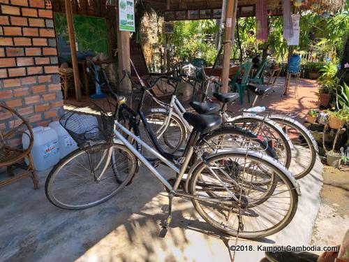 fish island bungalows in kampot cambodia