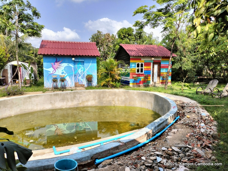 the bear bungalow in kampot cambodia