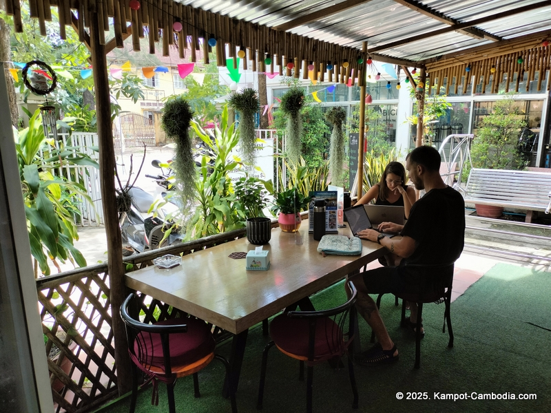 orchid 101 guesthouse in kampot cambodia