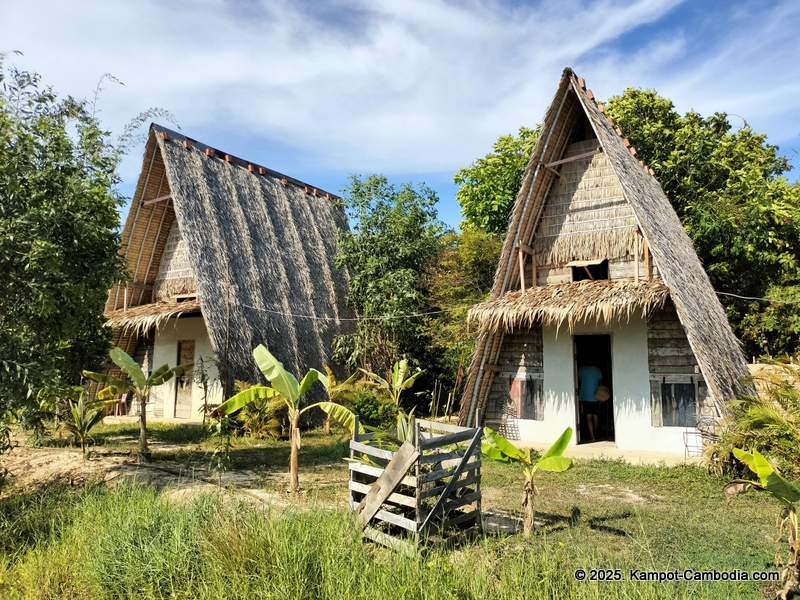 eco lotus cooking school and countryside rooms in kampot, cambodia
