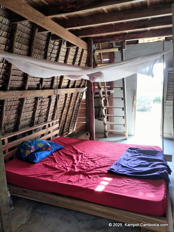 eco lotus cooking school and countryside rooms in kampot, cambodia