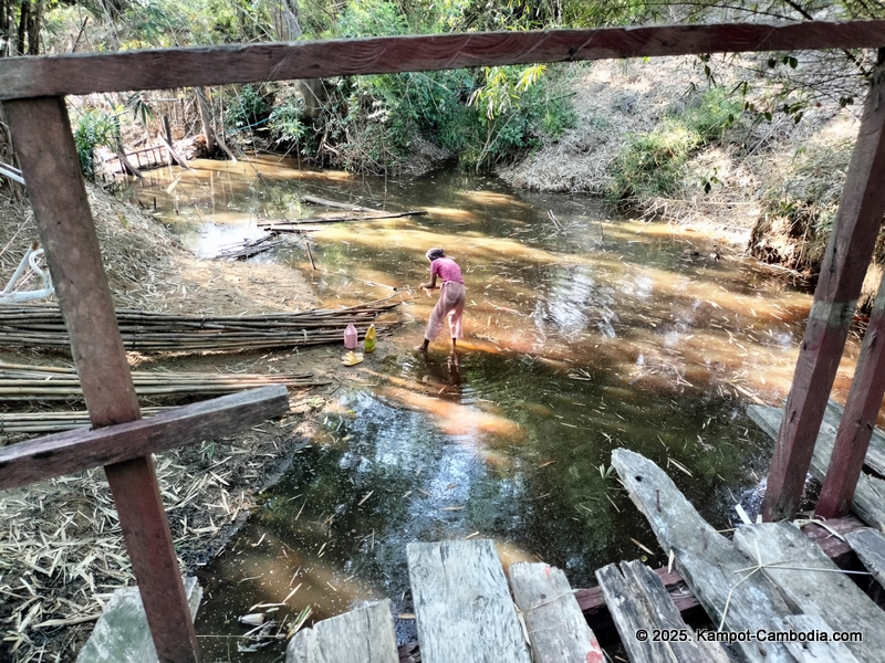 eco lotus cooking school and countryside rooms in kampot, cambodia