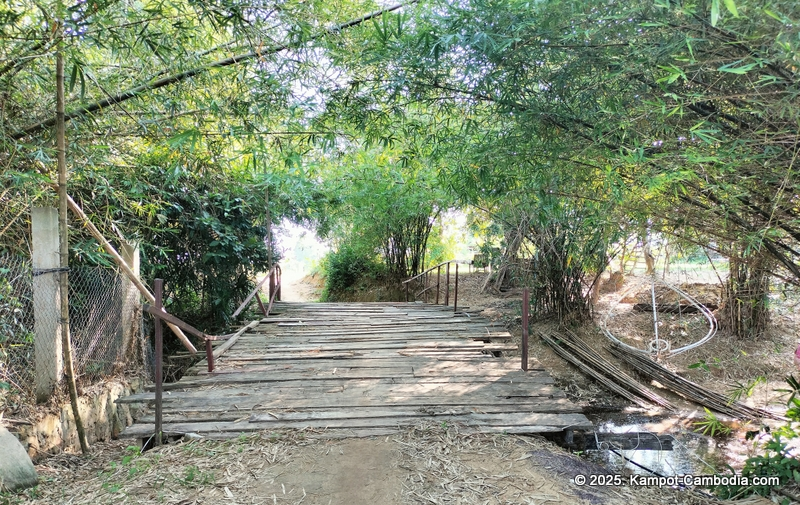 eco lotus cooking school and countryside rooms in kampot, cambodia