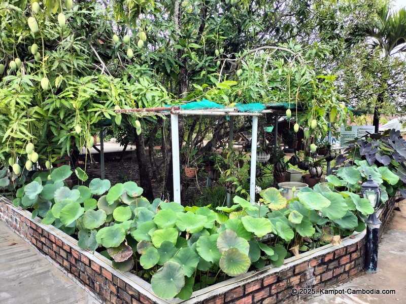 Phoum Rumduol Guesthouse in Kampot, Cambodia