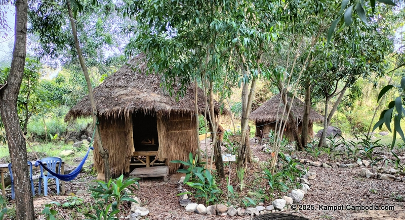 kampot camping in kampot cambodia