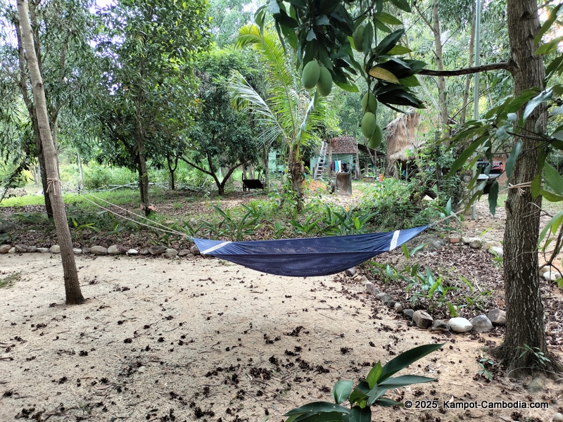 kampot camping in kampot cambodia