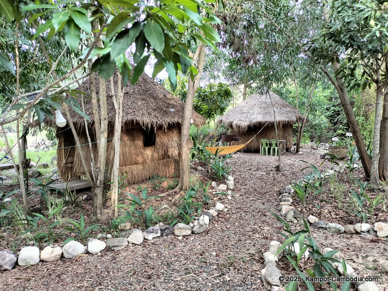 kampot camping in kampot cambodia