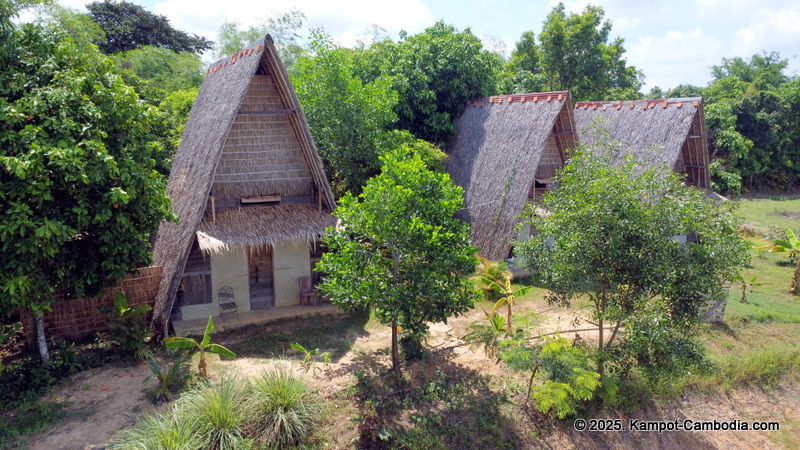 eco lotus cooking school and countryside rooms in kampot, cambodia