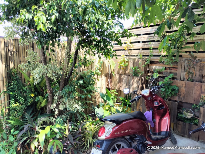 FNF Travel and Tours in Kampot, Cambodia