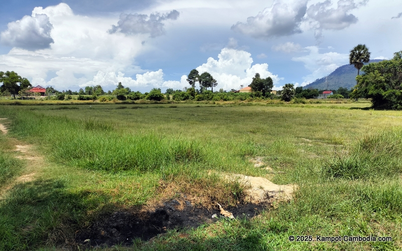eco lotus cooking school and countryside rooms in kampot, cambodia
