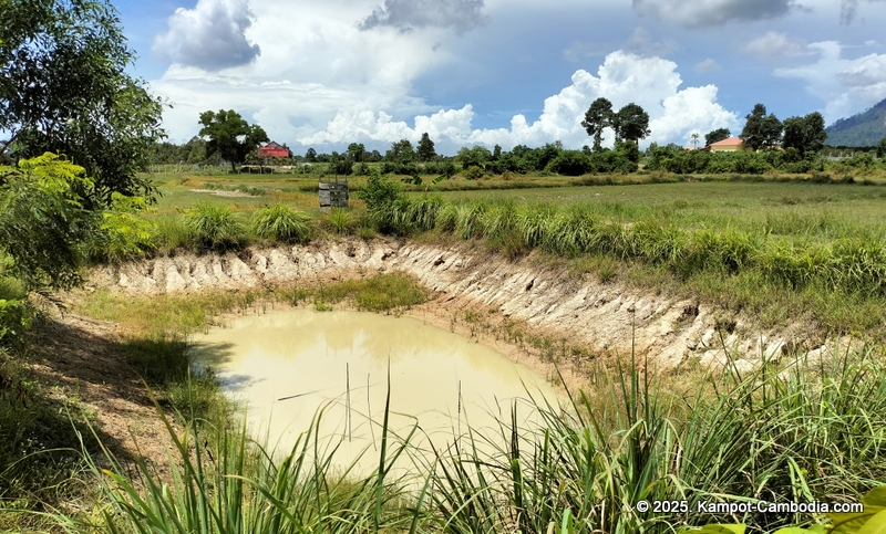eco lotus cooking school and countryside rooms in kampot, cambodia