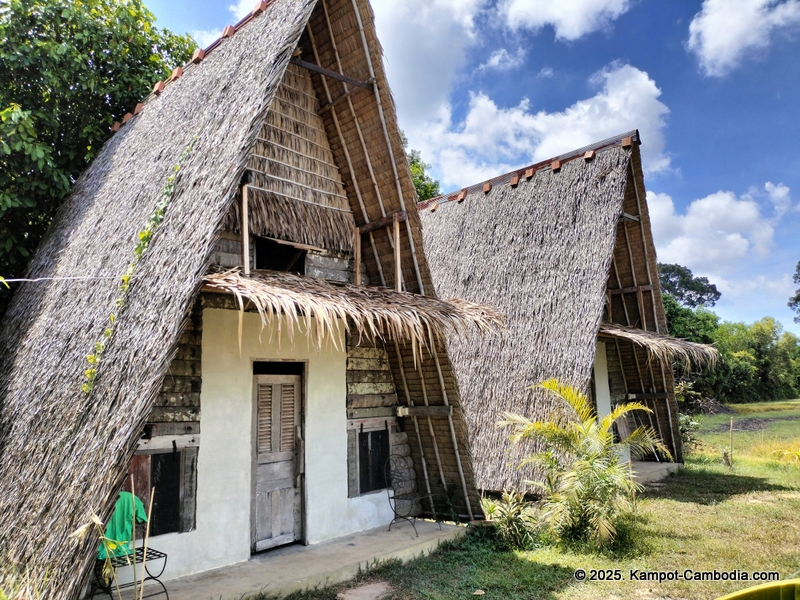eco lotus cooking school and countryside rooms in kampot, cambodia