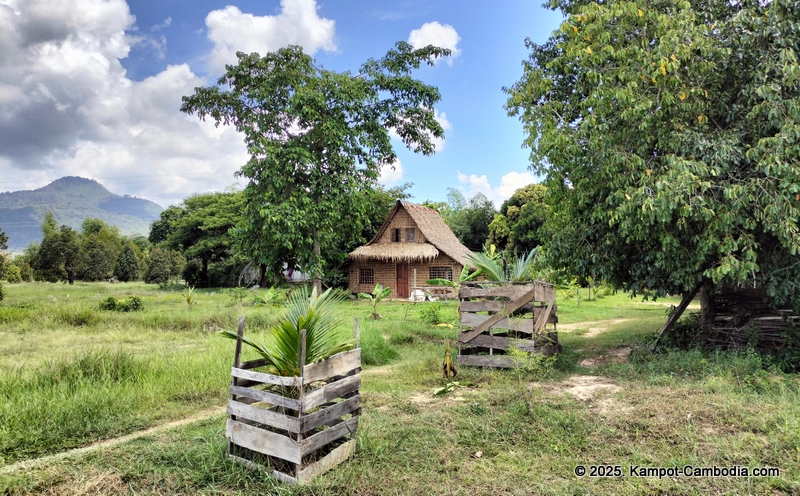 eco lotus cooking school and countryside rooms in kampot, cambodia