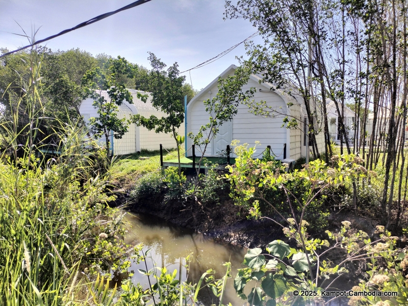 Nenie Homestay in Kampot, Cambodia