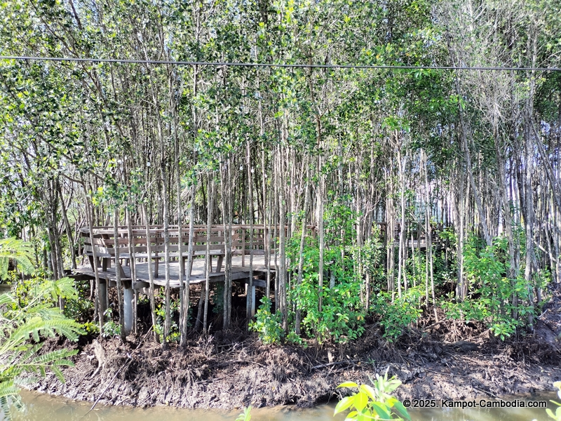 Nenie Homestay in Kampot, Cambodia