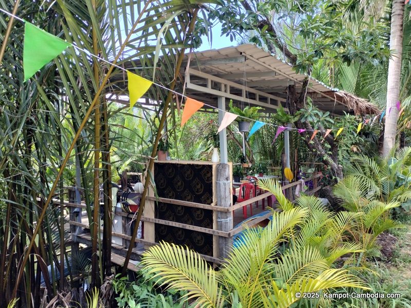 Kayaking Green Cathedral in Kampot, Cambodia. Kayak tours in the tributary of the Kampot River.