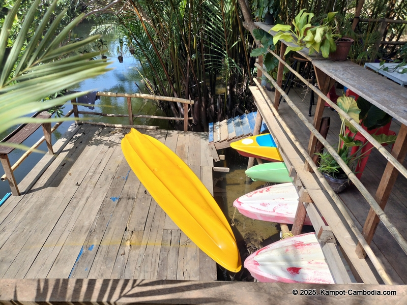 Kayaking Green Cathedral in Kampot, Cambodia. Kayak tours in the tributary of the Kampot River.