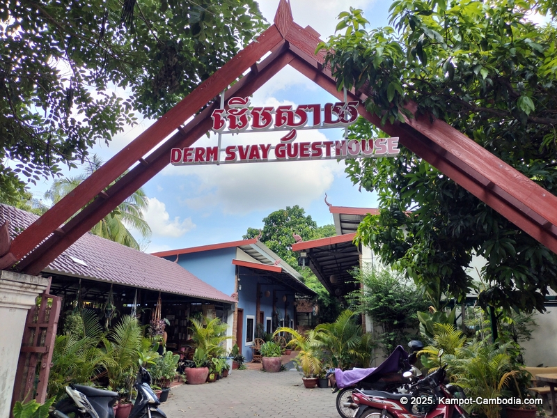 Derm Svay Guesthouse, restaurant, and yoga in Kampot, Cambodia