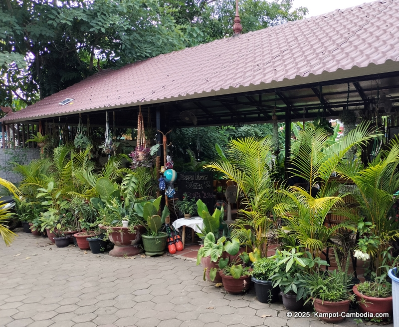 Derm Svay Guesthouse, restaurant, and yoga in Kampot, Cambodia