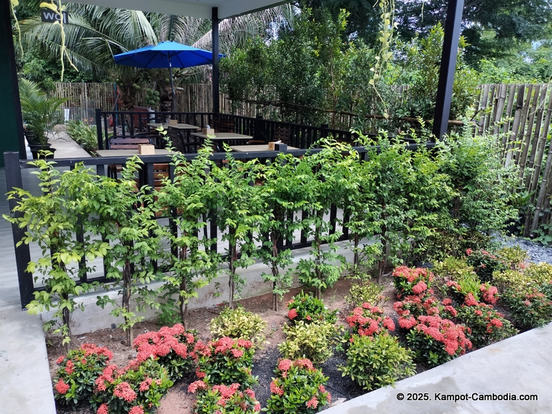 D'Oasis Cafe. Meeting Room, Prayer Room, Thai and Indian Food. in Kampot, Cambodia.