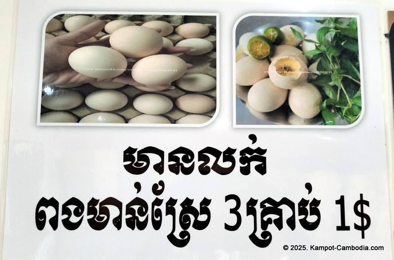 LXK Steam, sauna, gym, hot tub, cold tub and massage in Kampot, Cambodia