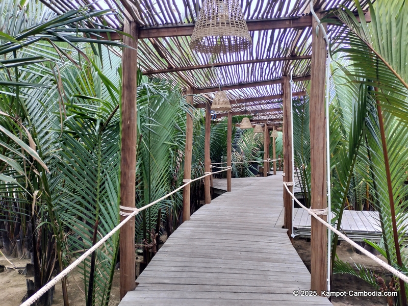 rivertree villa and resort in kampot cambodia