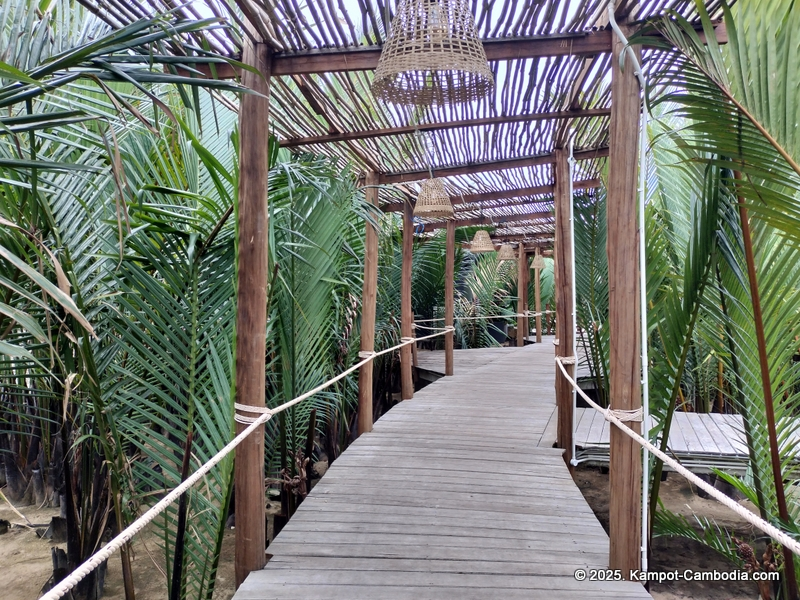 rivertree villa and resort in kampot cambodia