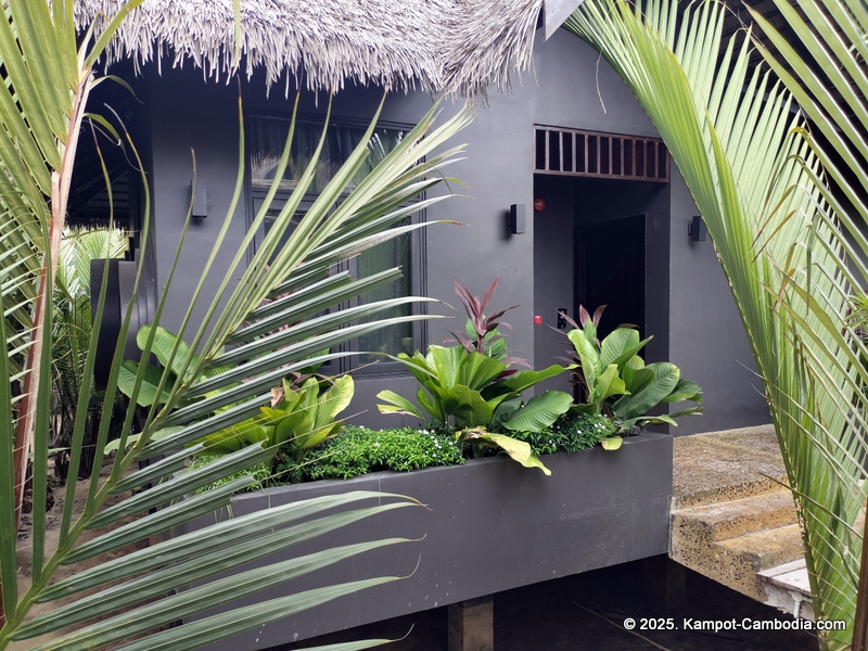 rivertree villa and resort in kampot cambodia