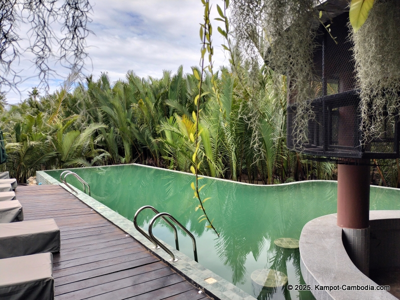 rivertree villa and resort in kampot cambodia