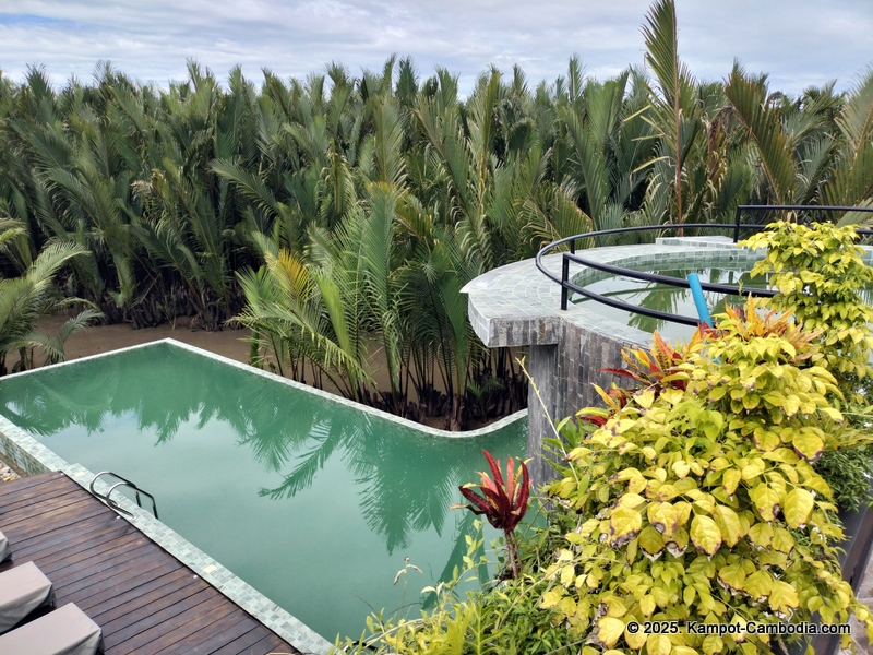 rivertree villa and resort in kampot cambodia