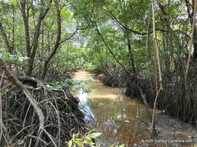 Nataya Resort in kampot cambodia