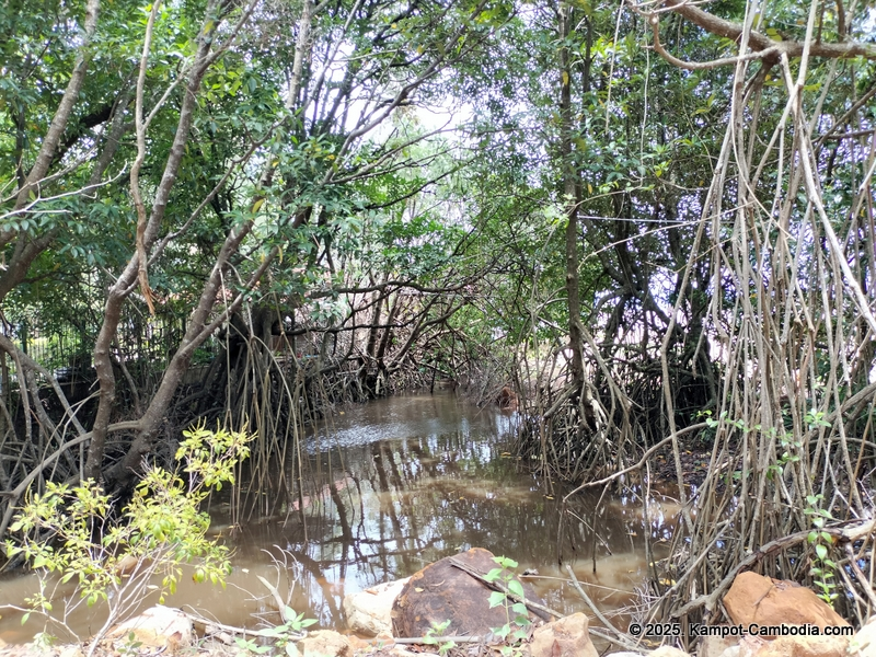 Nataya Resort in kampot cambodia