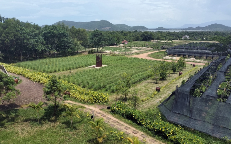 La Plantation Kampot Pepper farm in kampot cambodia