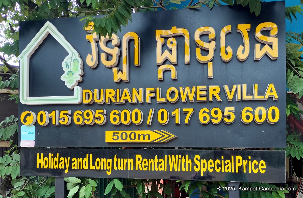 durian flower villa in kampot cambodia