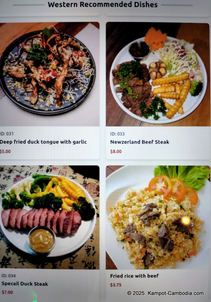 old market pub in kampot cambodia. Japanese restaurant.