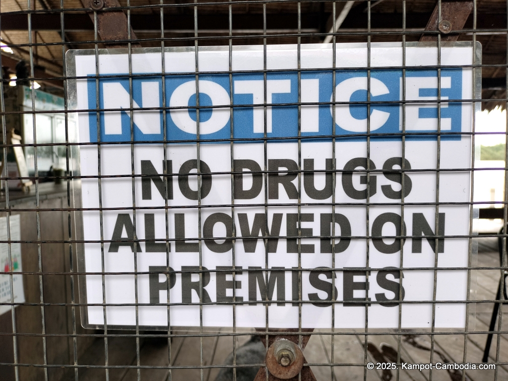 high tide in kampot cambodia. dog bar and lounge
