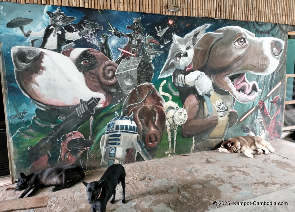 high tide in kampot cambodia. dog bar and lounge