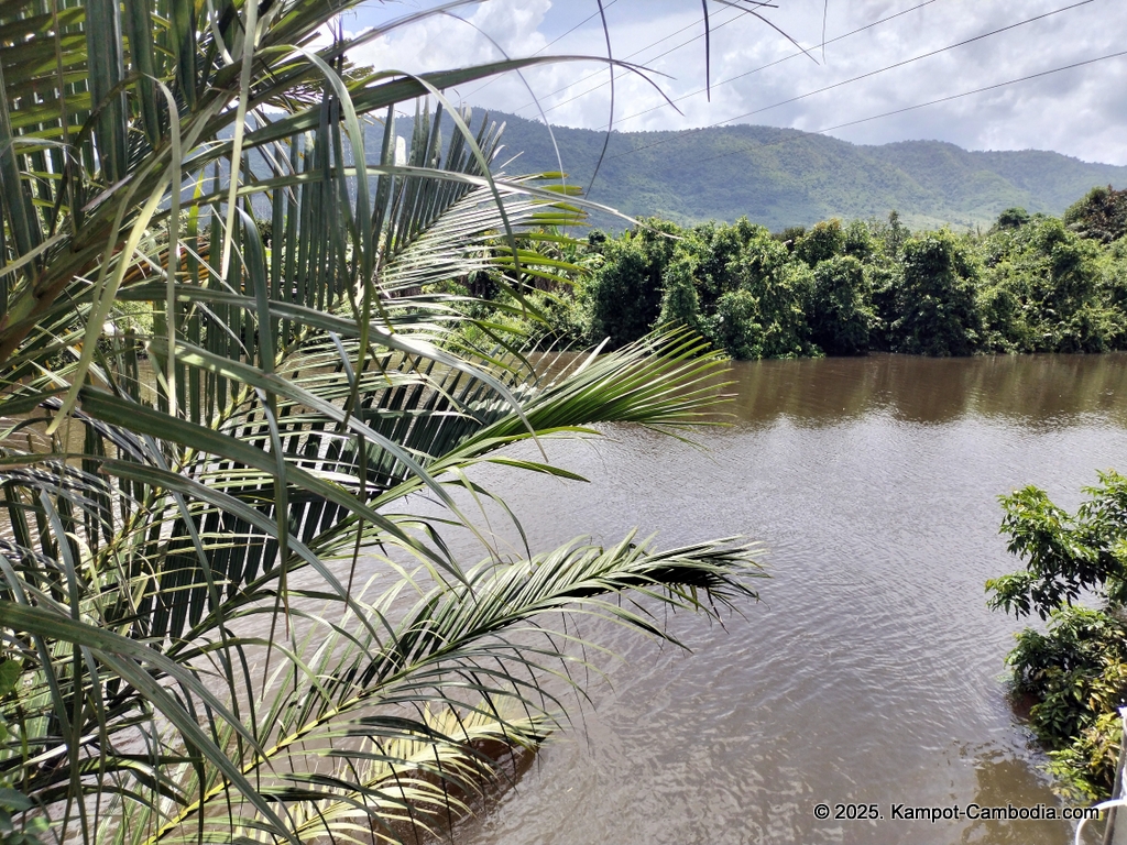 Bluebird Lodge in kampot, cambodia