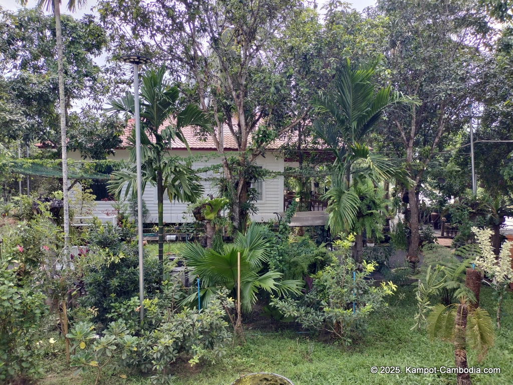 Queen Island resort in Kampot, Cambodia. Island resort.